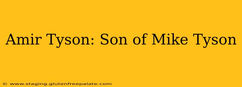 Amir Tyson: Son of Mike Tyson
