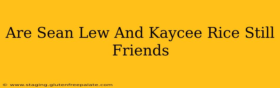 Are Sean Lew And Kaycee Rice Still Friends
