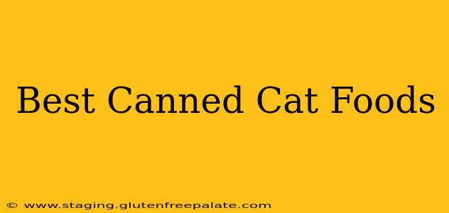 Best Canned Cat Foods