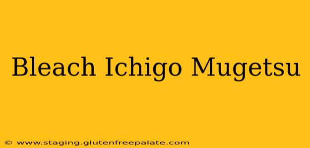 Bleach Ichigo Mugetsu