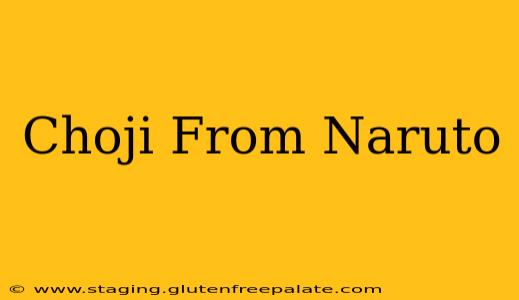Choji From Naruto