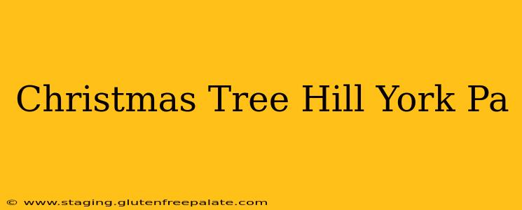 Christmas Tree Hill York Pa