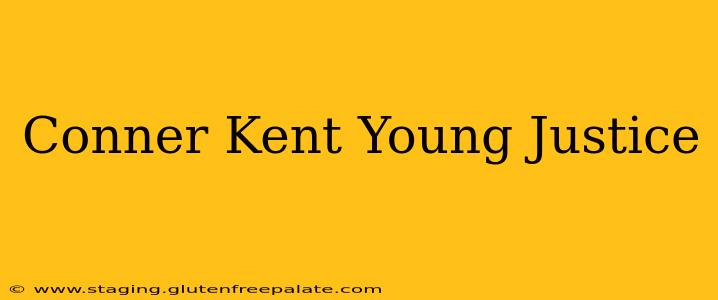 Conner Kent Young Justice