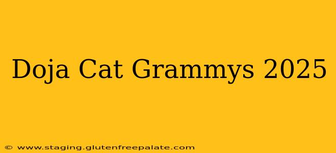 Doja Cat Grammys 2025