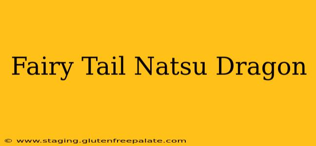 Fairy Tail Natsu Dragon