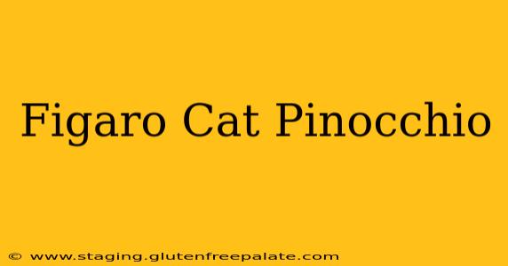 Figaro Cat Pinocchio