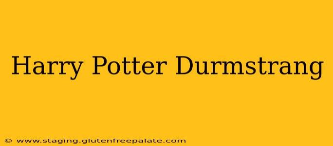 Harry Potter Durmstrang