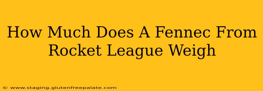 How Much Does A Fennec From Rocket League Weigh