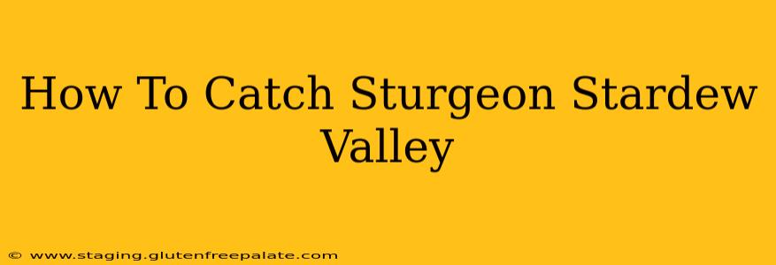 How To Catch Sturgeon Stardew Valley