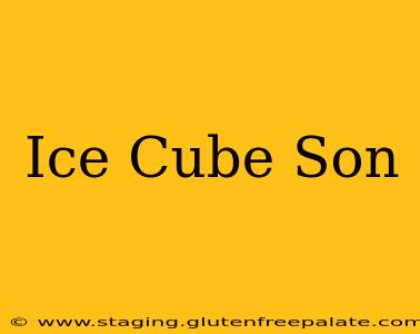 Ice Cube Son
