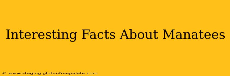 Interesting Facts About Manatees