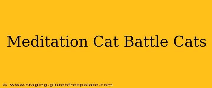 Meditation Cat Battle Cats