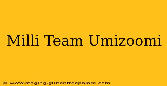 Milli Team Umizoomi