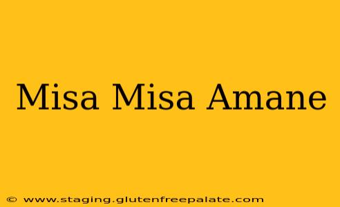 Misa Misa Amane