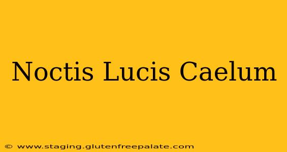 Noctis Lucis Caelum