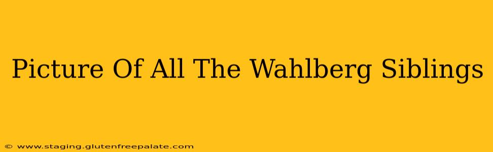 Picture Of All The Wahlberg Siblings
