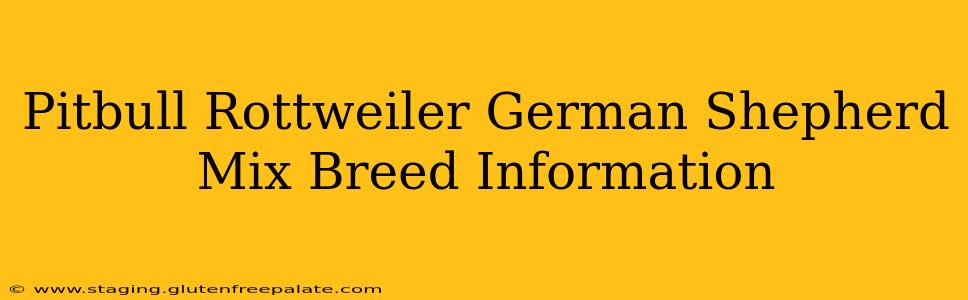 Pitbull Rottweiler German Shepherd Mix Breed Information
