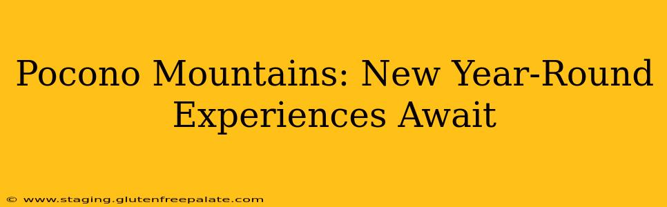 Pocono Mountains: New Year-Round Experiences Await