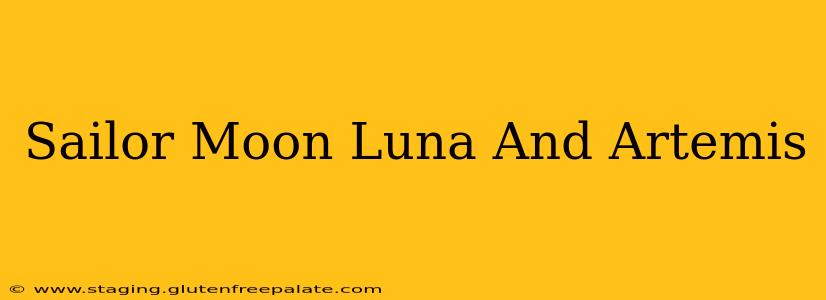 Sailor Moon Luna And Artemis