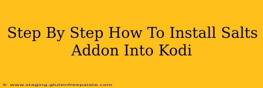 Step By Step How To Install Salts Addon Into Kodi