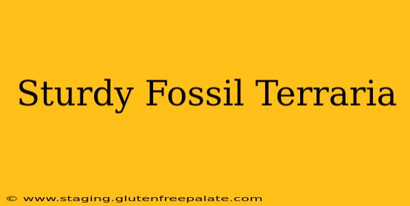 Sturdy Fossil Terraria