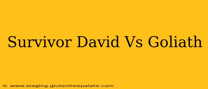 Survivor David Vs Goliath