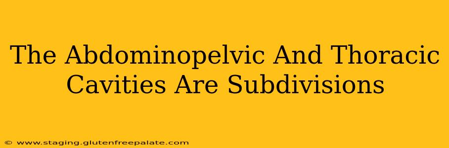 The Abdominopelvic And Thoracic Cavities Are Subdivisions