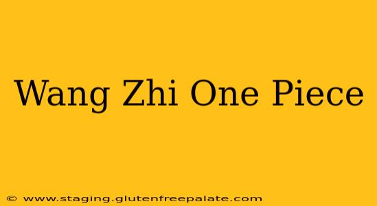 Wang Zhi One Piece