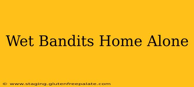 Wet Bandits Home Alone