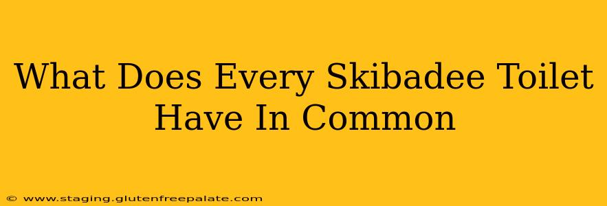 What Does Every Skibadee Toilet Have In Common