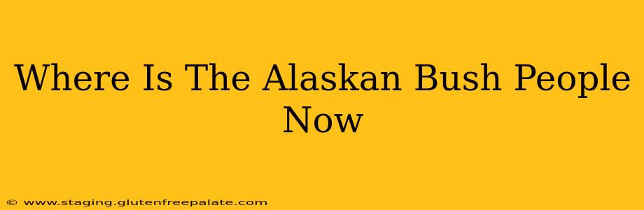 Where Is The Alaskan Bush People Now