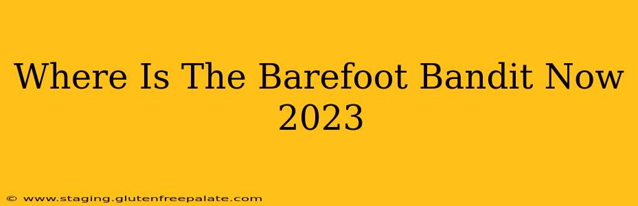 Where Is The Barefoot Bandit Now 2023
