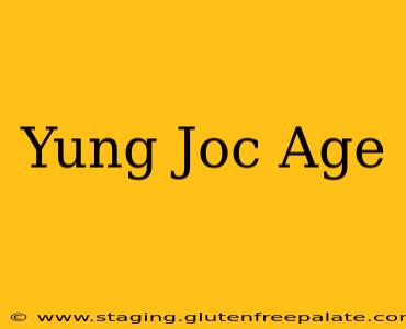 Yung Joc Age